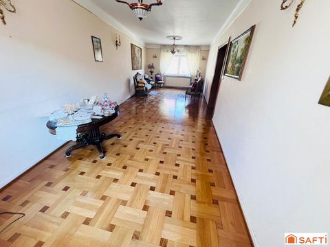 photo no. 7
