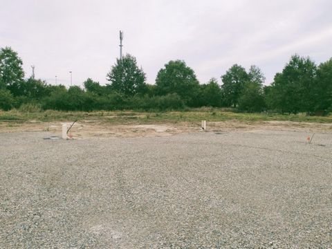 photo no. 4