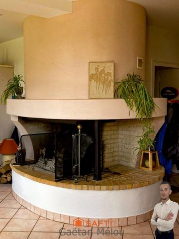 photo no. 11