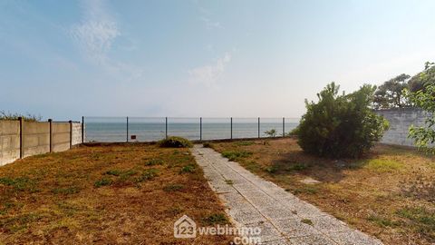 photo no. 18