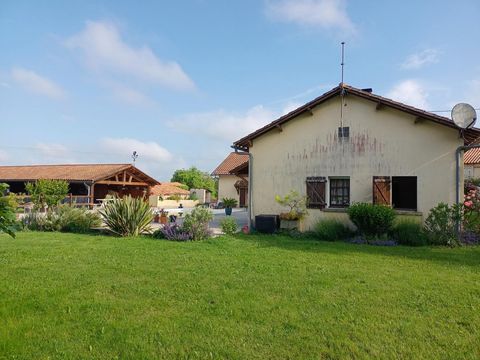 photo no. 16