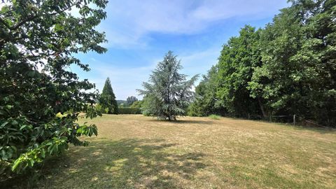 photo no. 4