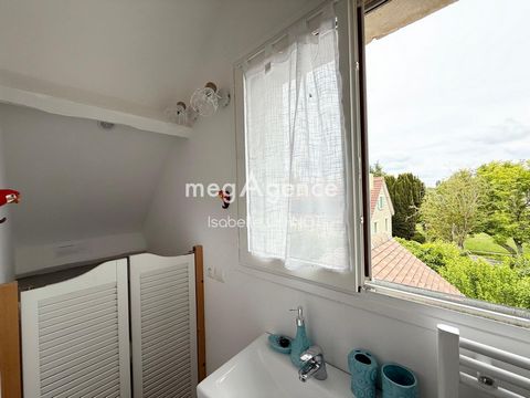 photo no. 12