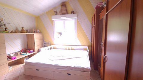 photo no. 6