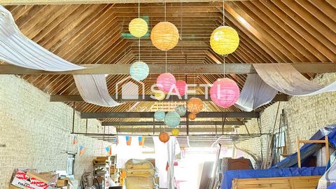 photo no. 11