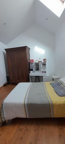 photo no. 5