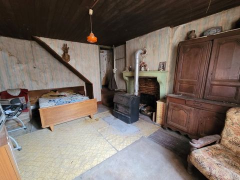 photo no. 4