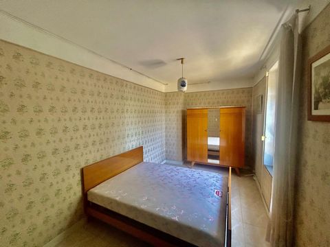 photo no. 6