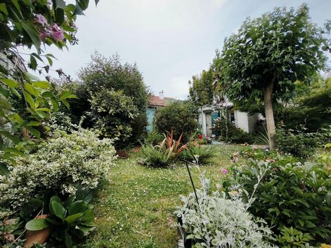 photo no. 10