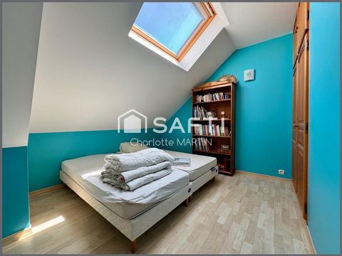 photo no. 11