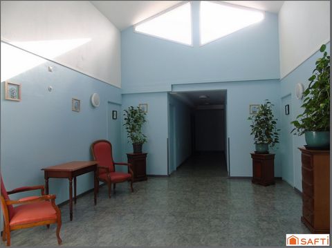 photo no. 5
