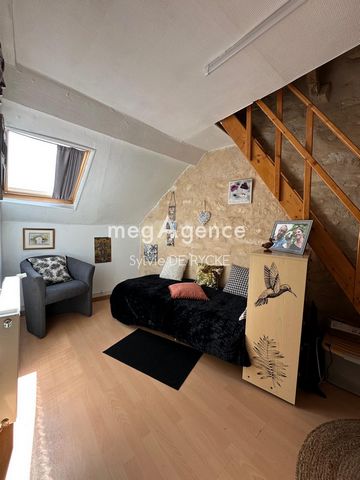 photo no. 11