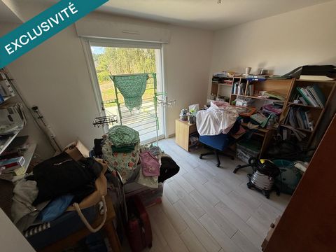 photo no. 11
