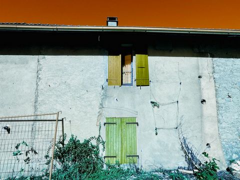 photo no. 10