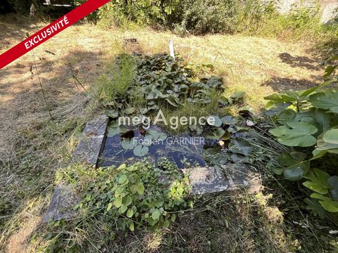 photo no. 1