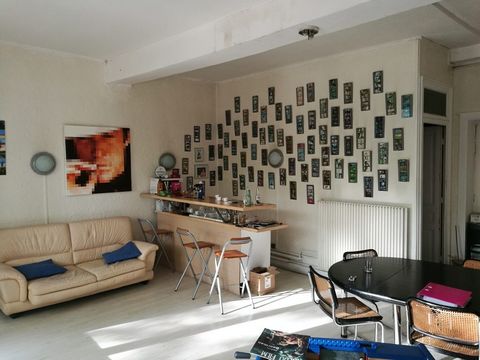 photo no. 7