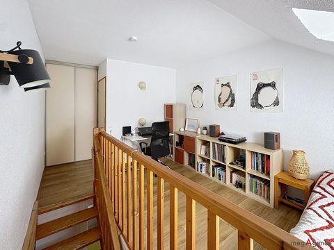 photo no. 10