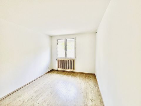 photo no. 11