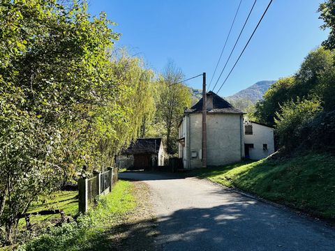 photo no. 4