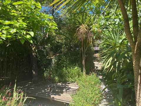 photo no. 12