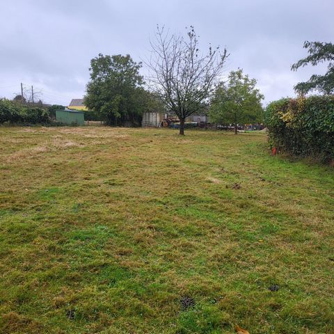 photo no. 3