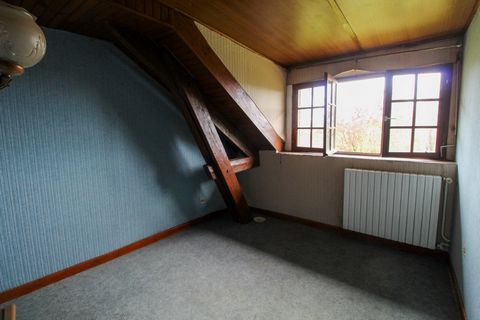 photo no. 10