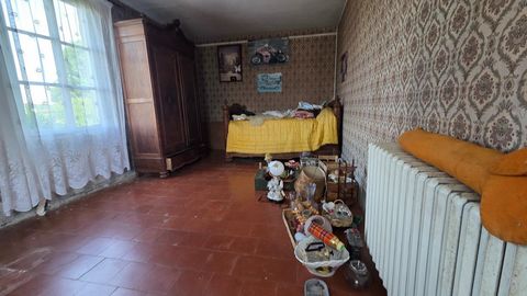 photo no. 8