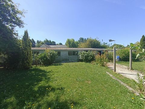 photo no. 18