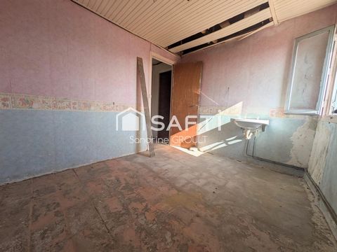 photo no. 14