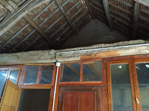 photo no. 15