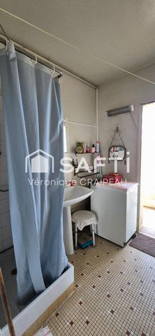 photo no. 6
