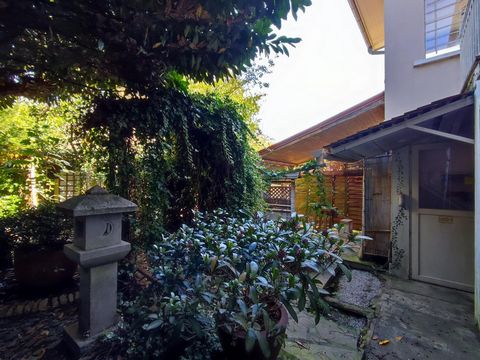 photo no. 6