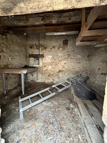 photo no. 15