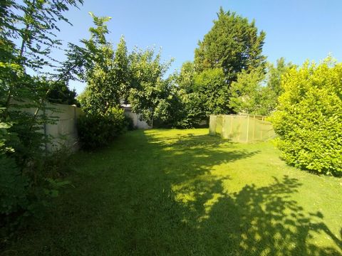 photo no. 11
