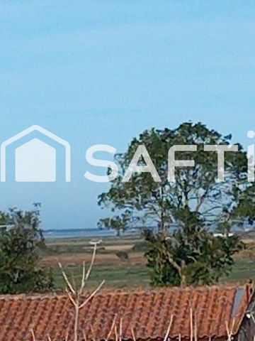 photo no. 4