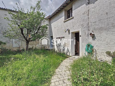 photo no. 13
