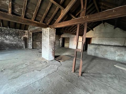 photo no. 4