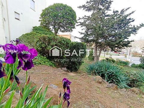 photo no. 12