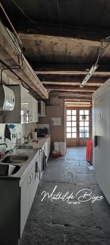 photo no. 3