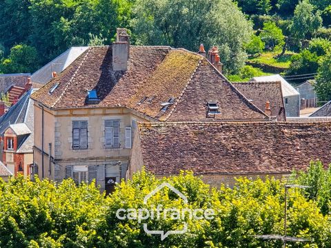 Dpt nièvre (58),LORMES, Hotel particulier à vendre 25 pièces, 780m² avec terrain clos, 3h de Paris et Lyon, idéal gîte, chambre d'hôtes, séminaires