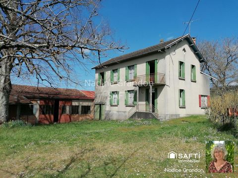 photo no. 7