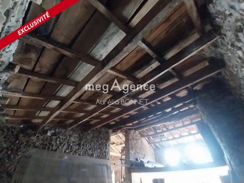 photo no. 2