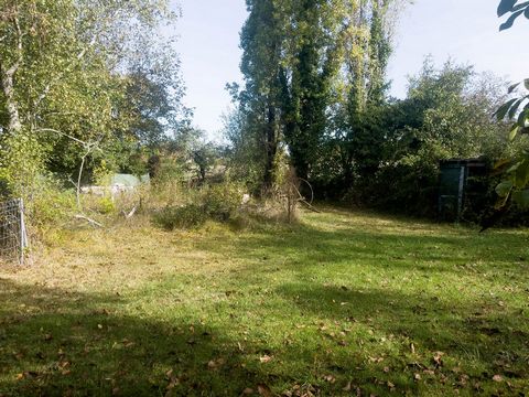 photo no. 17