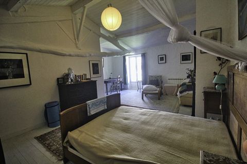 photo no. 19