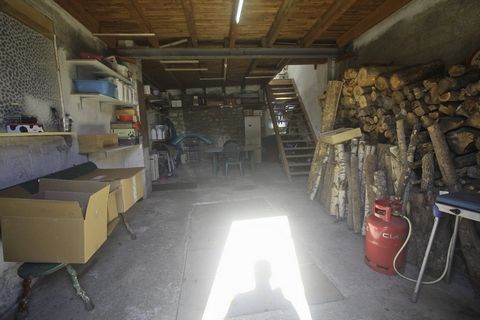 photo no. 8