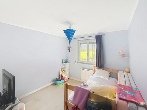 photo no. 7