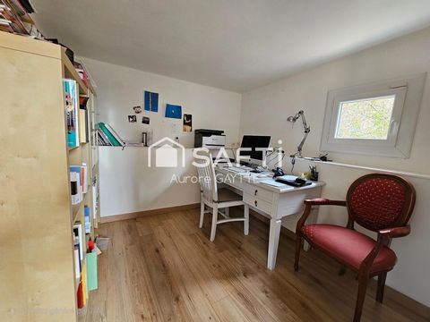 photo no. 15