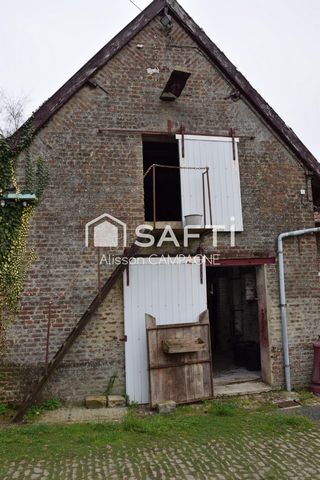 photo no. 12