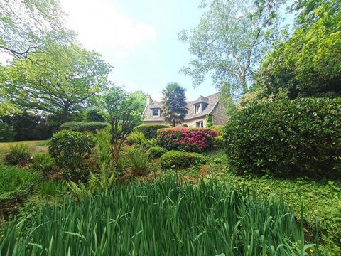 photo no. 18