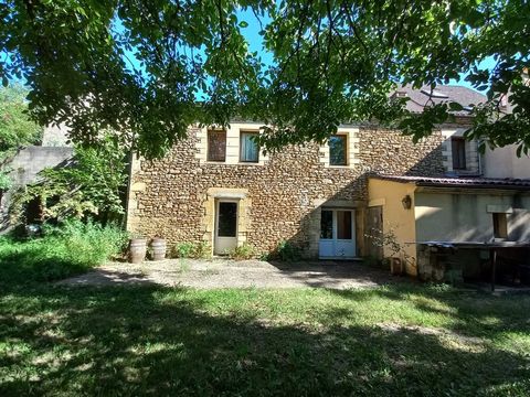 photo no. 11